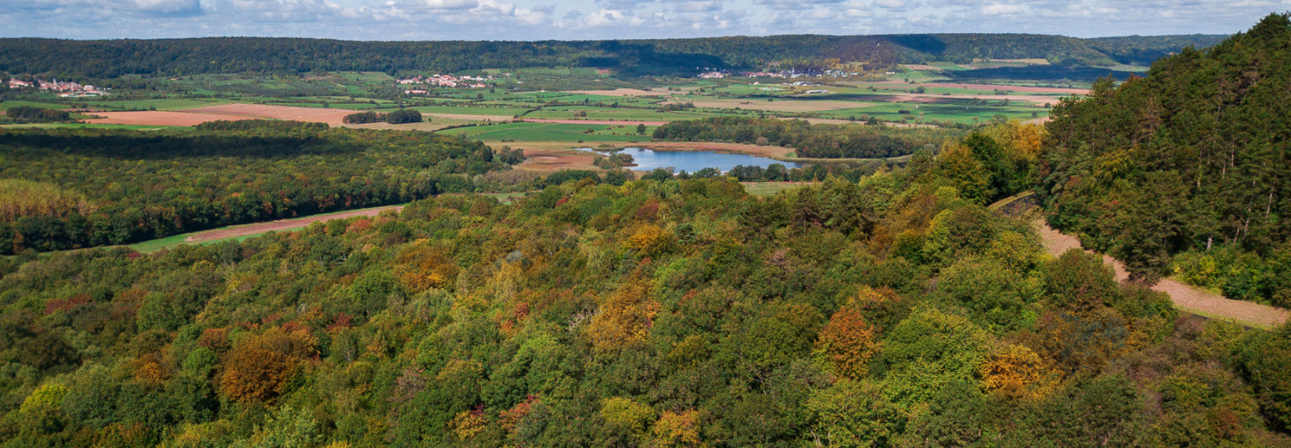 cotes de meuse foret