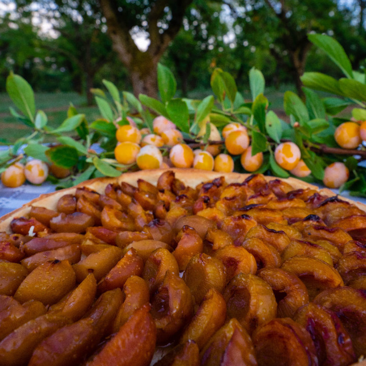 Tarte à la mirabelle