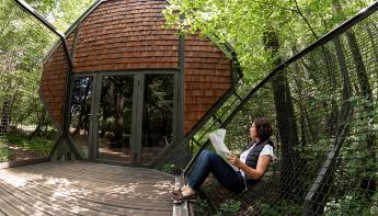 Nichoir Vent des Forets