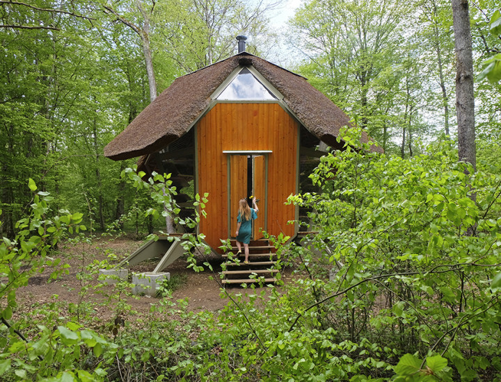 La Noisette Vent des Forets