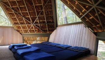 Intérieur de la Noisette Vent des Forêts
