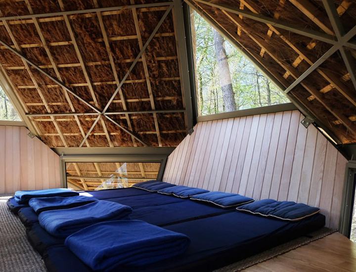 Intérieur de la Noisette Vent des Forêts