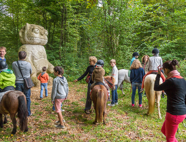 Balade poney Vent des Forêts