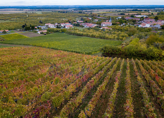 Vignoble des Côtes de Meuse