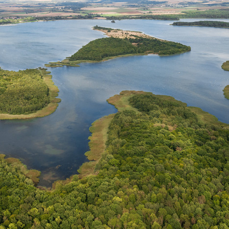 Lac de Madine