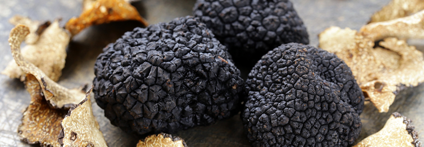Truffes de Meuse