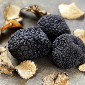 Truffes de Meuse