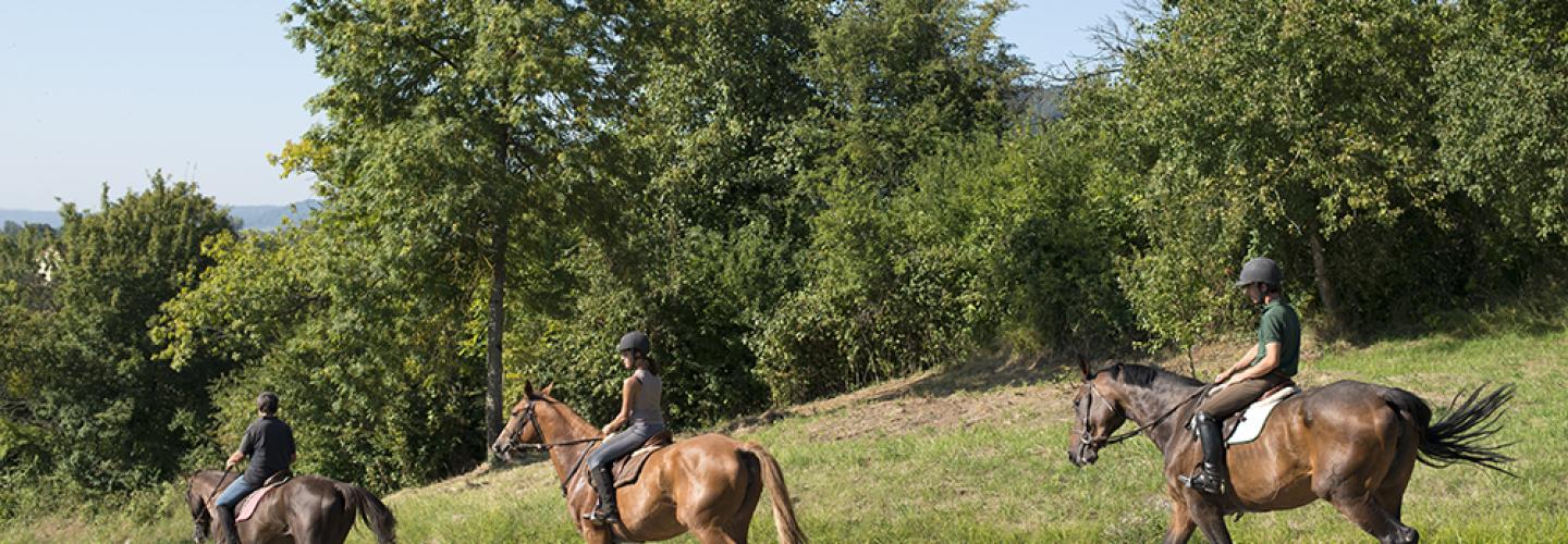Équitation en Meuse