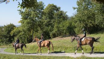 Équitation en Meuse