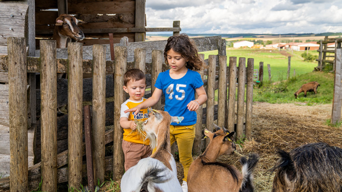 Ferme de Woimbey