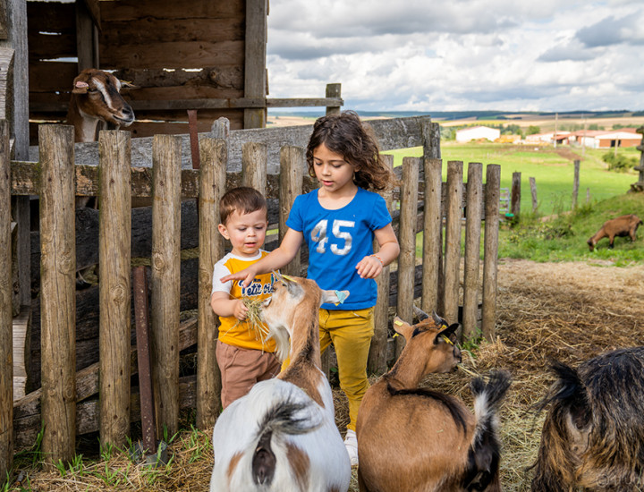 Ferme de Woimbey