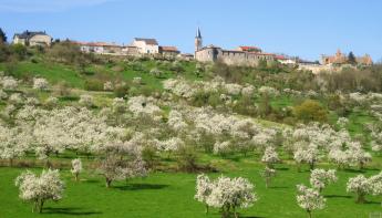 Hattonchâtel