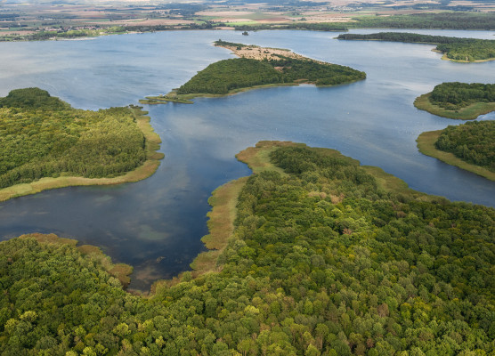 Lac de Madine