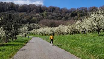 Balade à vélo dans les côtes de Meuse