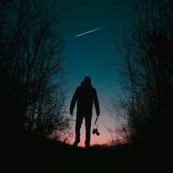 Sortie nocturne