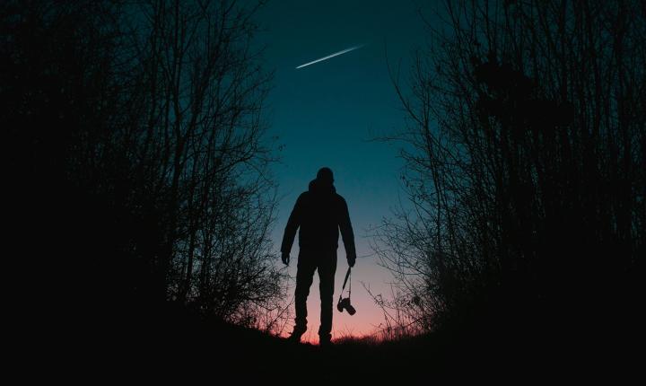 Sortie nocturne