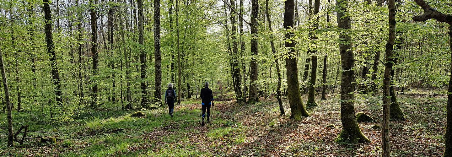 randonnee pedestre meuse