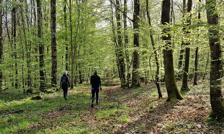 randonnee pedestre meuse