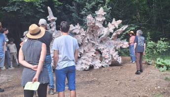 Vent des Forets 2025