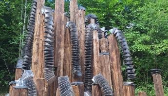 Vent des Forets 2025
