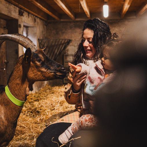 Chèvrerie du moulin à Void Vacon
