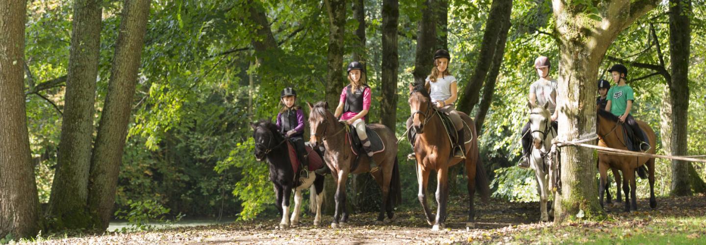 équitation