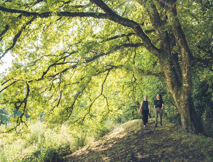 Butte de Vauquois - ARTGE Pierre Defontaine