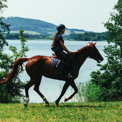 équitation Madine