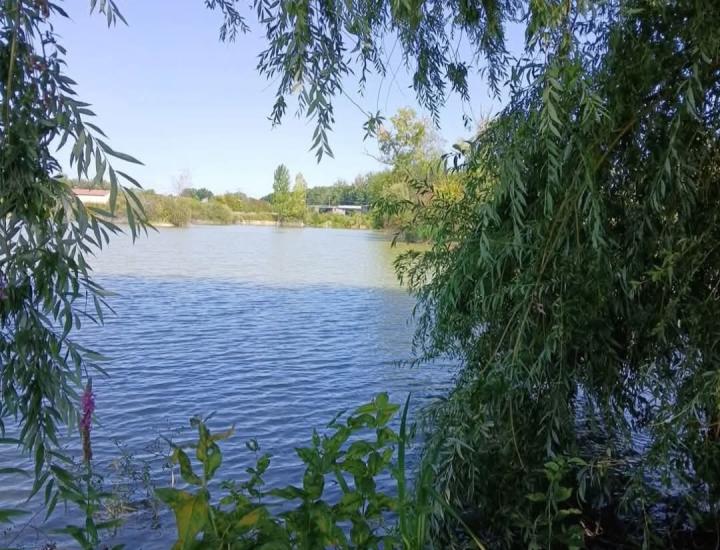 Etang de la Libellule
