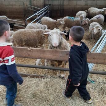 Ferme des Perce-Neige