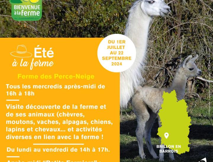 Chambre régionale d'agriculture Grand Est