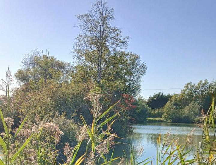 Etang de la Libellule