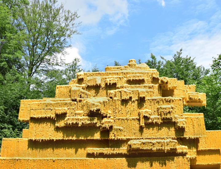 Sunoj D, Monts et Merveilles. Vent des Forêts 2017. ©Clément Charbonnier