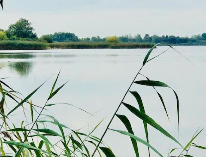 ESAT LACHAUSEE