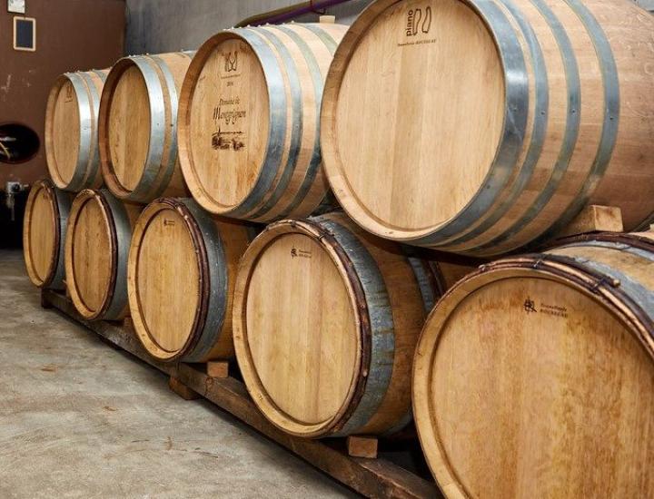 Domaine de Montgrignon