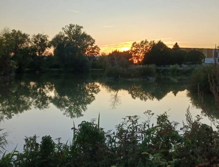 Etang de la Libellule