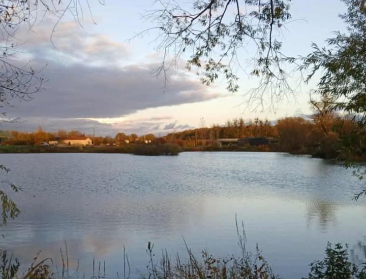 Etang de la Libellule