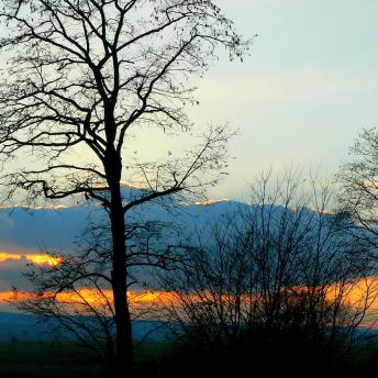 © Tourisme Grand Verdun