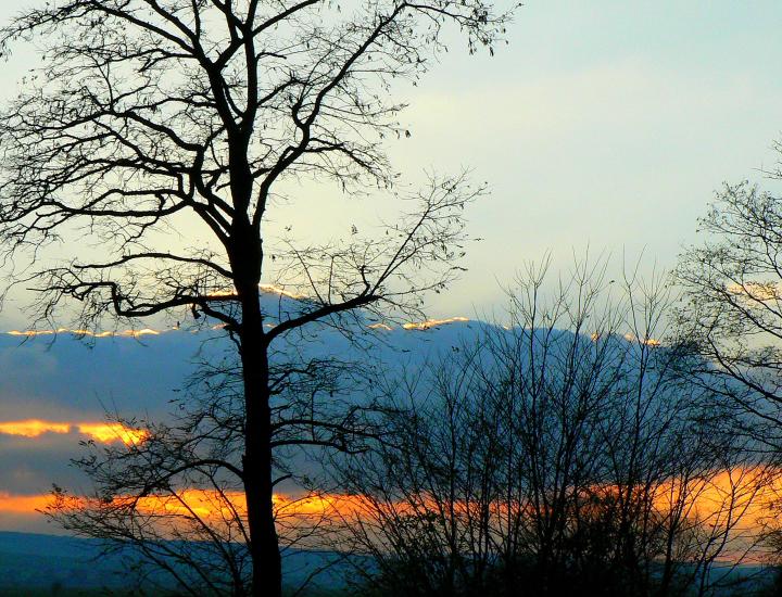 © Tourisme Grand Verdun