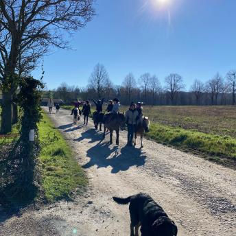 Écurie des crins noirs