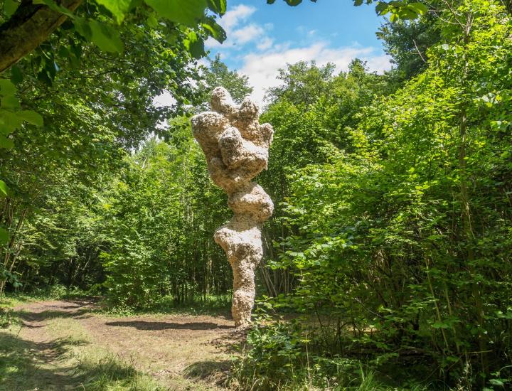 Yuhsin U Chang, Intrusion. Vent des Forêts 2014. ©Marine Calamai