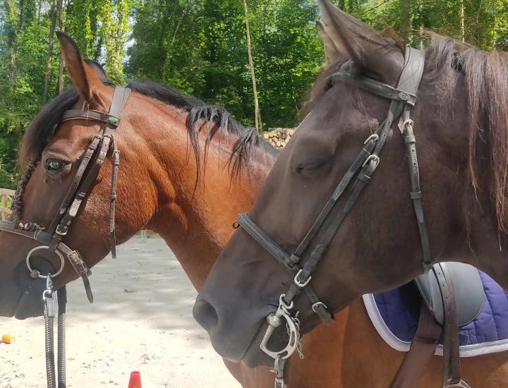 Centre équestre la Chèvrerie