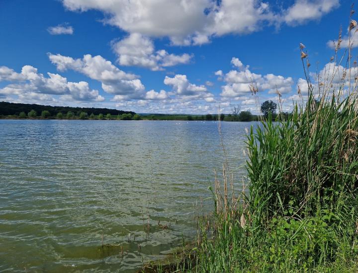 Meuse Attractivité