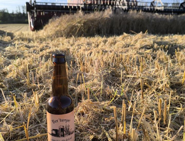 Bier'tapogne