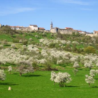 Meuse Attractivité