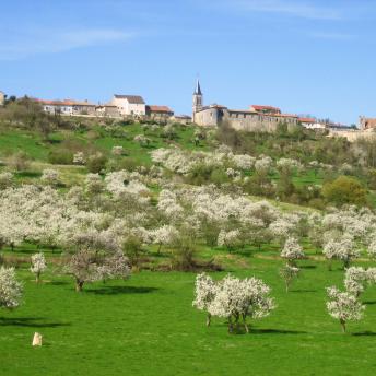 Meuse Attractivité