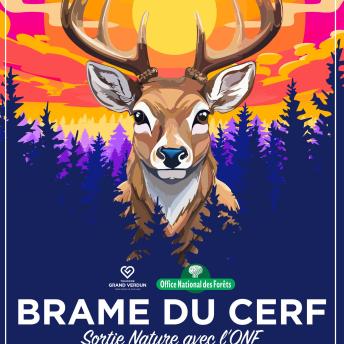 © Tourisme Grand Verdun / Marie JACQUINET