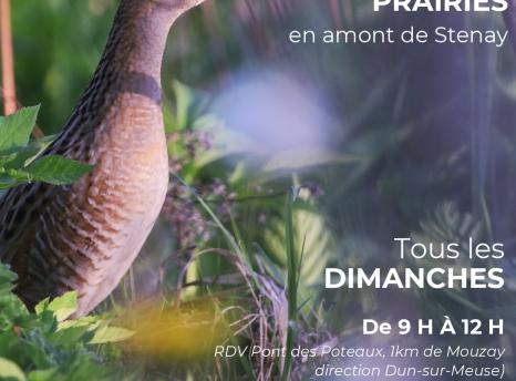 Office de Tourisme Monts et Vallées de Meuse