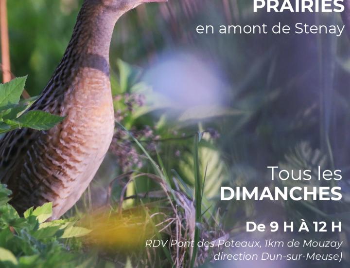 Office de Tourisme Monts et Vallées de Meuse