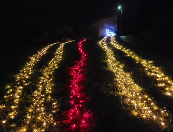 Un Noel à Dun sur Meuse
